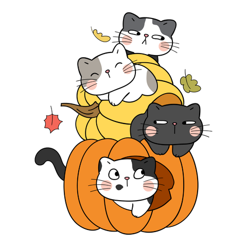 Designed White Pillow For Your Sofa